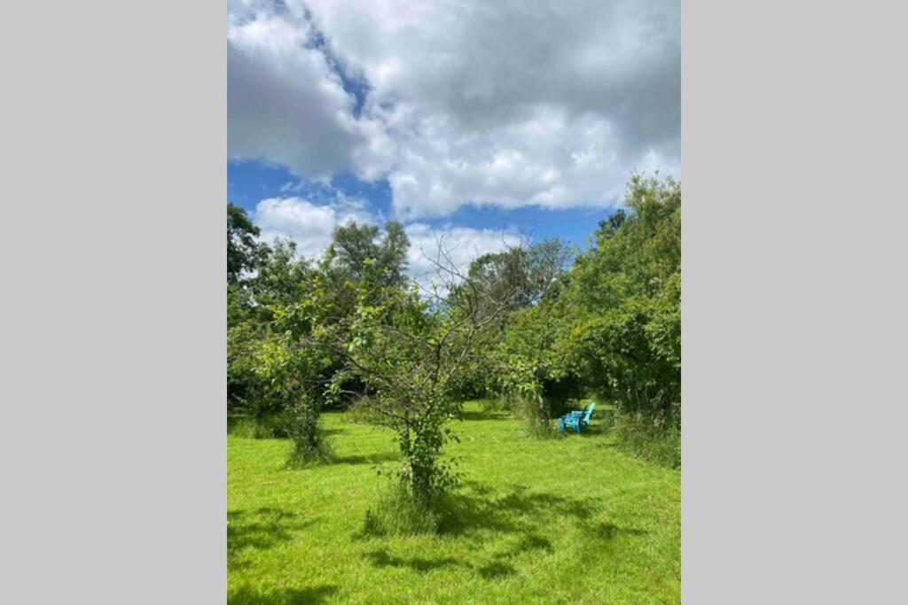Gorgeous Comfortable Barn With Huge Private Orchard In Quiet Suffolk Location Depden Exterior foto