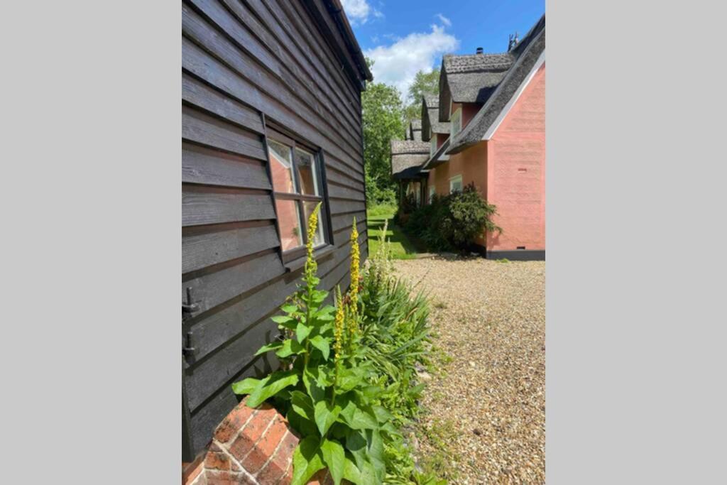 Gorgeous Comfortable Barn With Huge Private Orchard In Quiet Suffolk Location Depden Exterior foto
